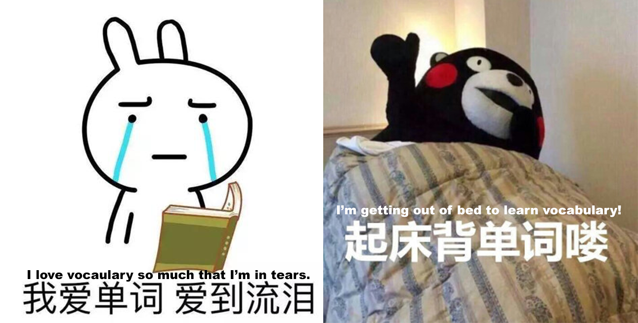 two Chinese memes about vocabulary learning