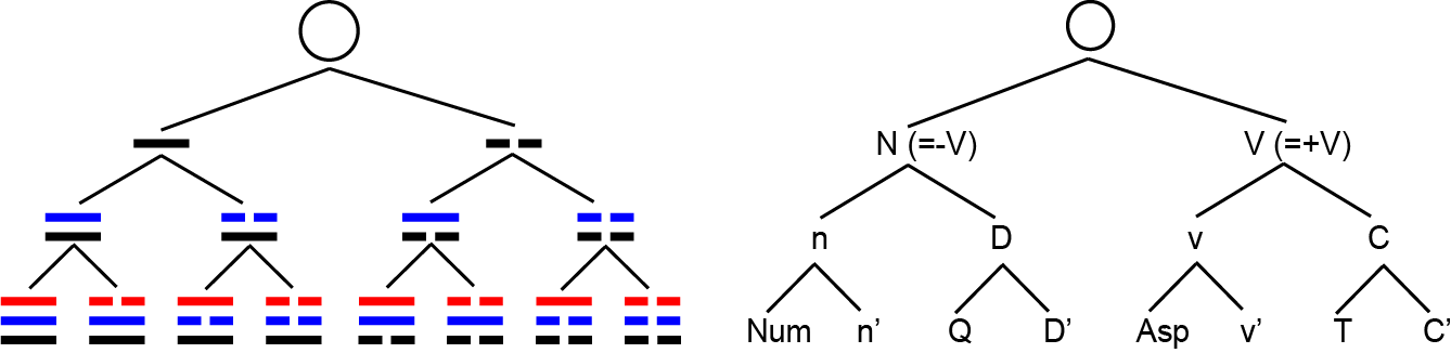 binary category division in I Ching and in linguistics